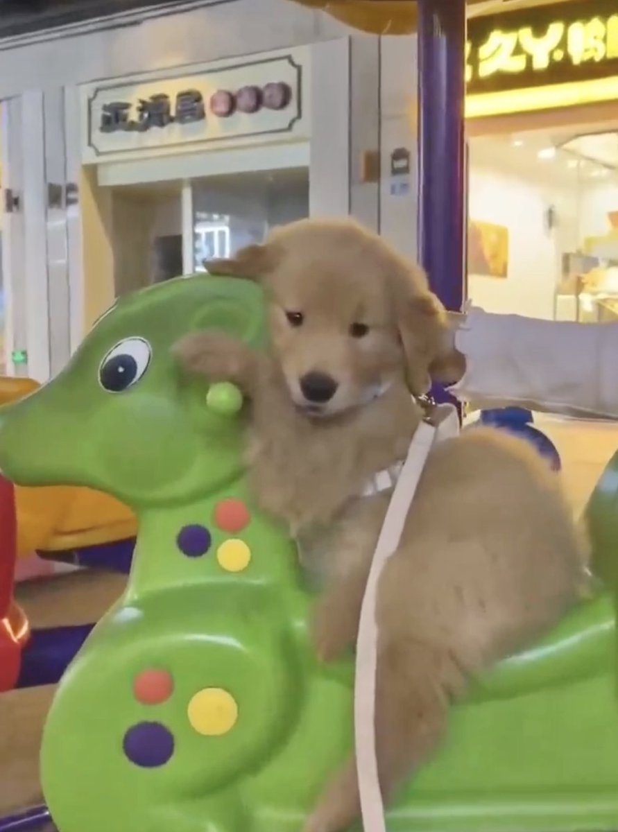 ⋆𐙚 🎀 ˚𝜗𝜚˚ tweet media