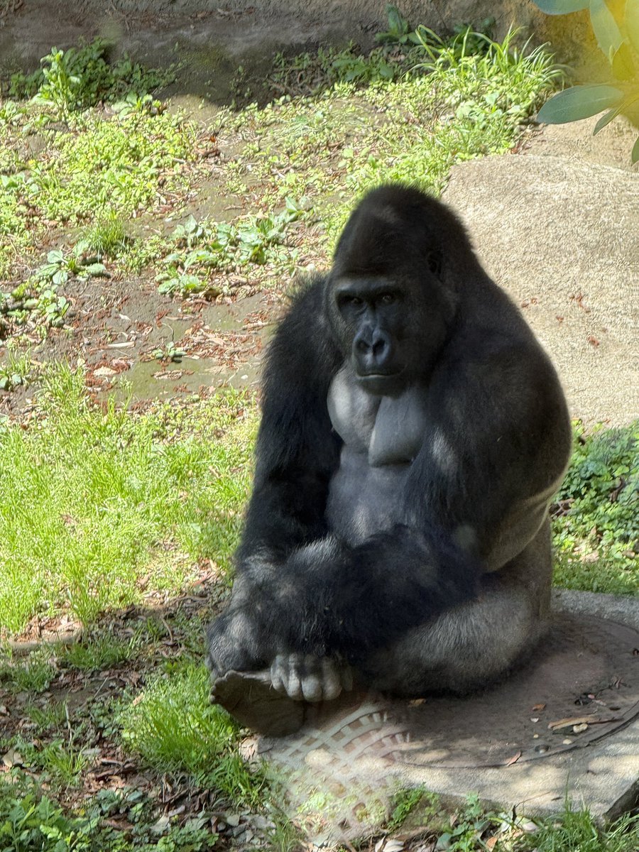 瀬戸啓太 tweet media