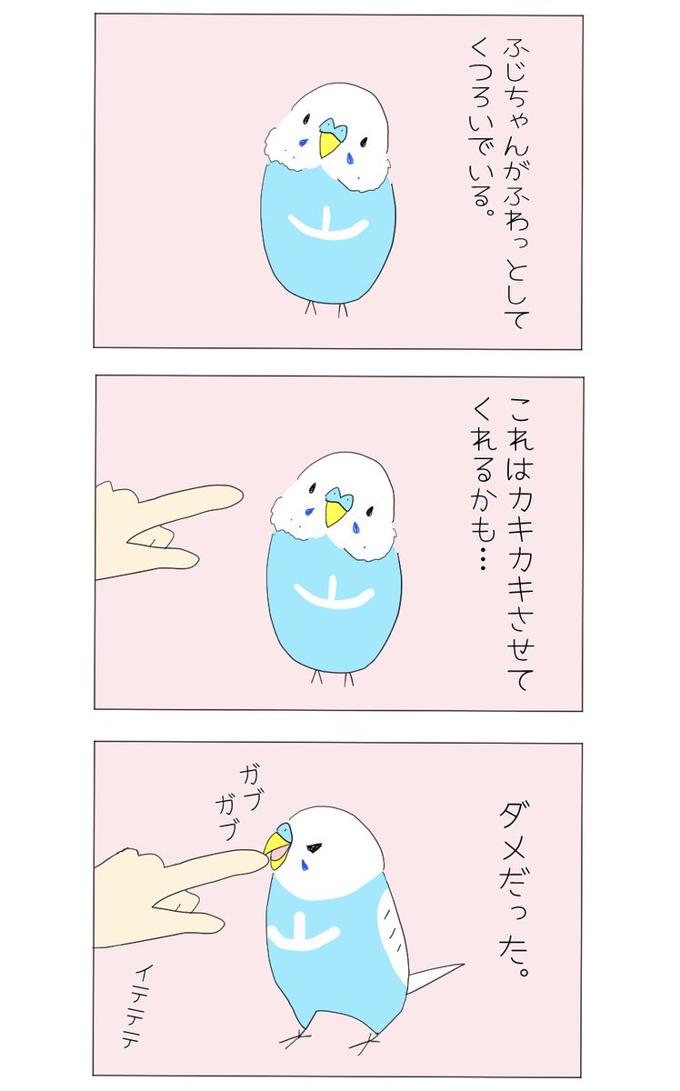 クピリンコ tweet media