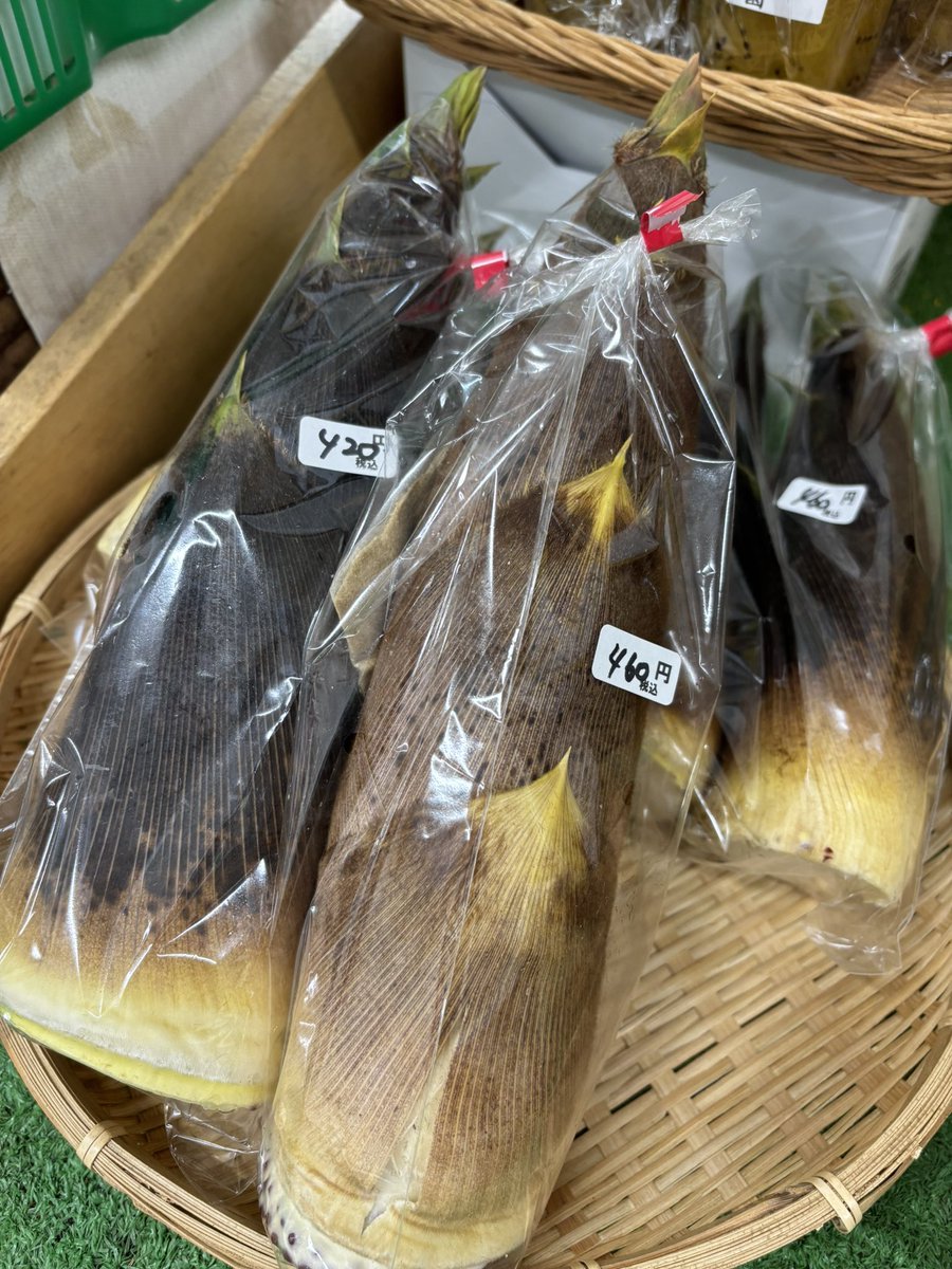7tsuzuka_farms's tweet photo. みのり處　野菜ランチ

・タケノコご飯
・鳥ささみパリパリ春巻き
・ナムル
・新じゃがポテトサラダ
・筍の煮物木の芽付き☘️
・筍姫皮のお吸い物

今日は朝ぼり筍を使ったメニューです。
掘り立ては香り良く柔らかい春の味です。
旬を満喫してください🤗 https://t.co/6goK7XdnBK