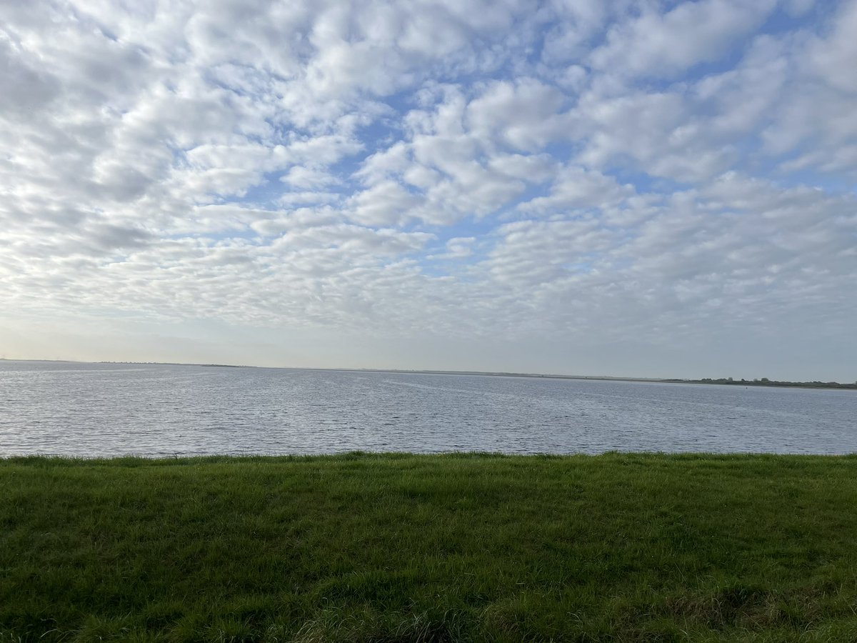 Frank #teambeweegbarebrug tweet media