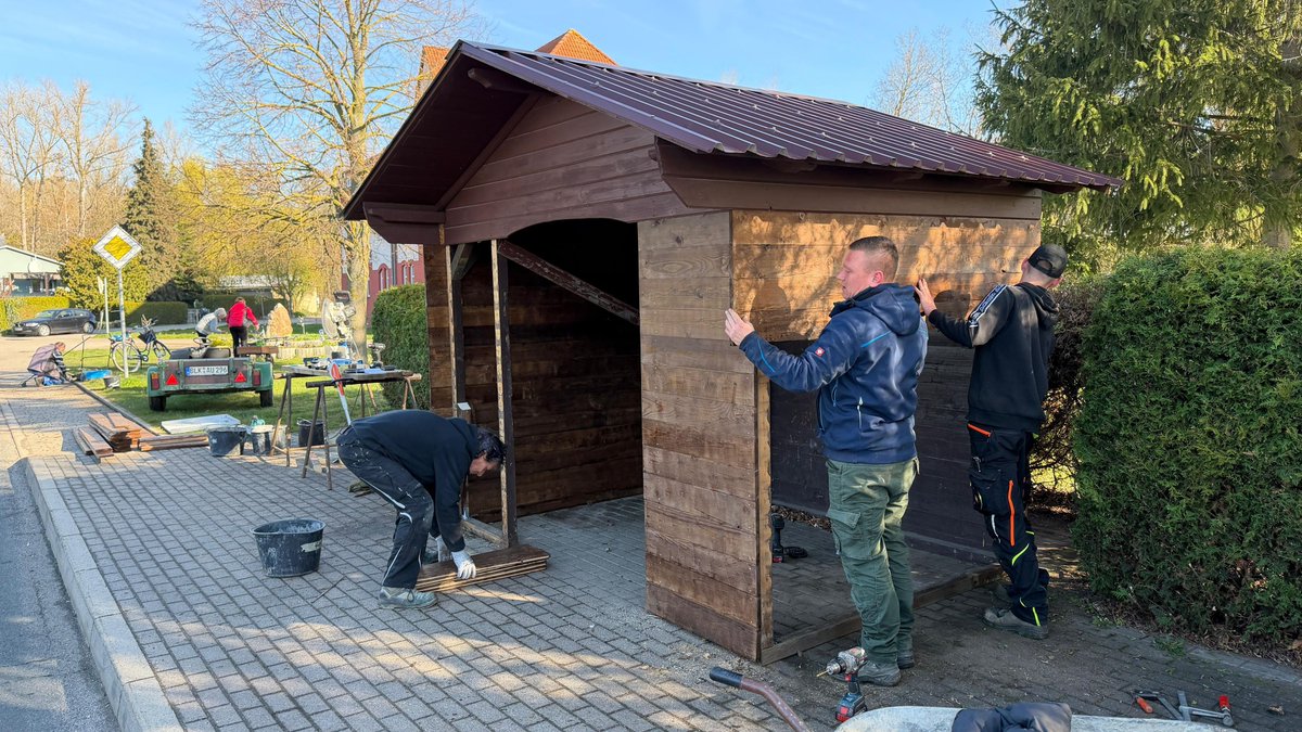 mz_zeitz tweet media