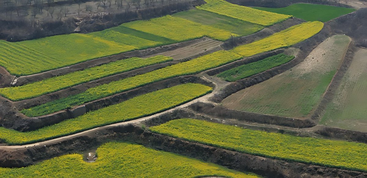 Discover Anyang tweet media