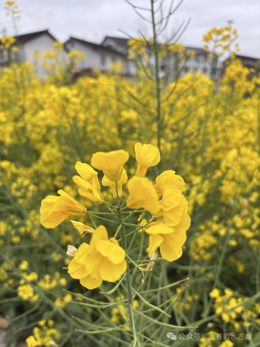 Discover Anyang tweet media