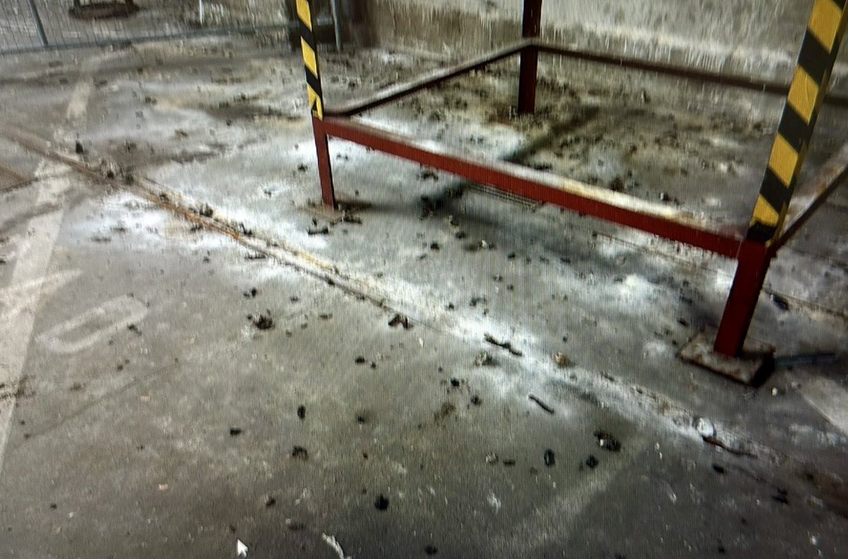 Axel Lier ✏️ tweet media