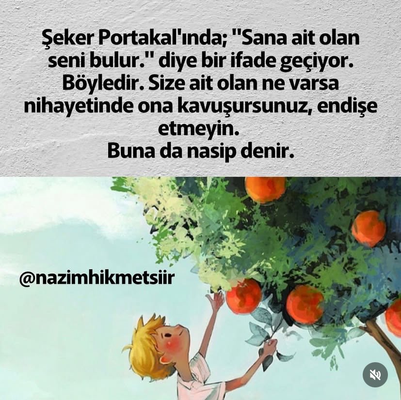 k_inc34's tweet photo. Koşarak kendini harap etme.
Yazgın seni usul usul yürürken de bulur🌱 https://t.co/T0TBaUdS7j