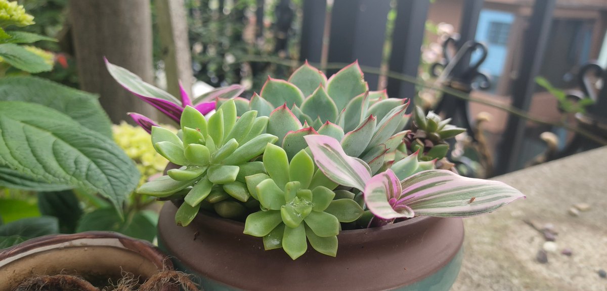 Ziyaur RAHMAN tweet media