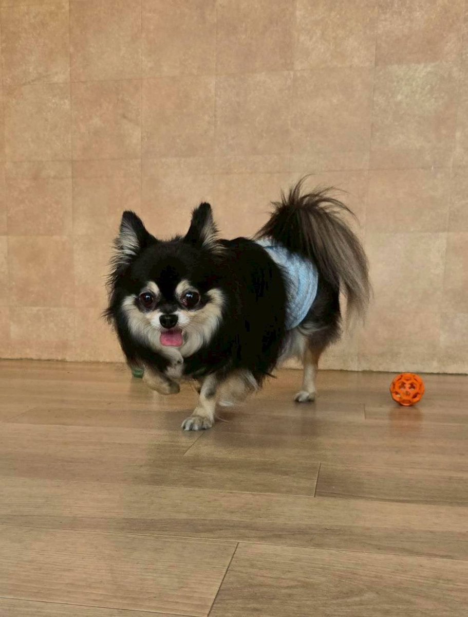 NPO法人LoveFive tweet media