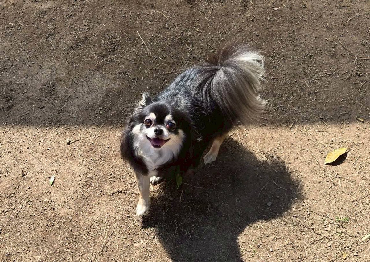 NPO法人LoveFive tweet media