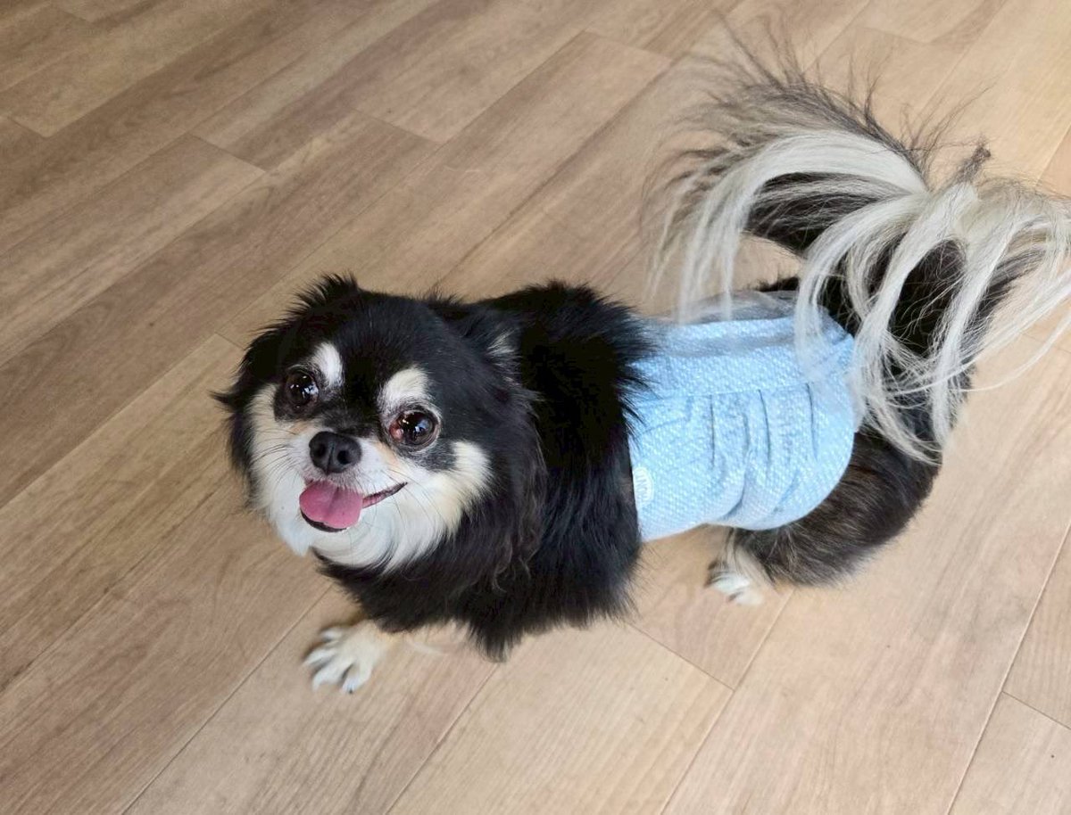 NPO法人LoveFive tweet media