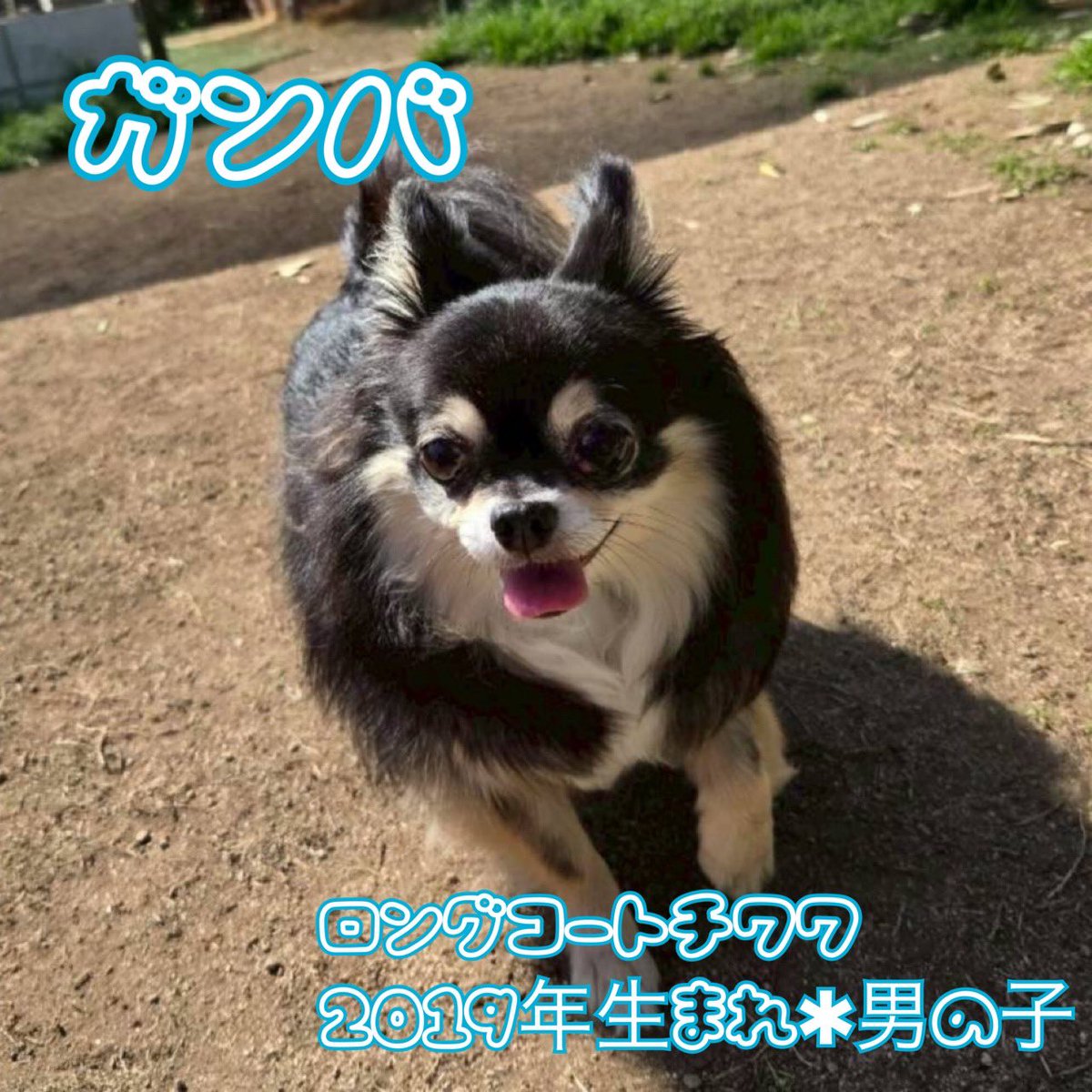 NPO法人LoveFive tweet media