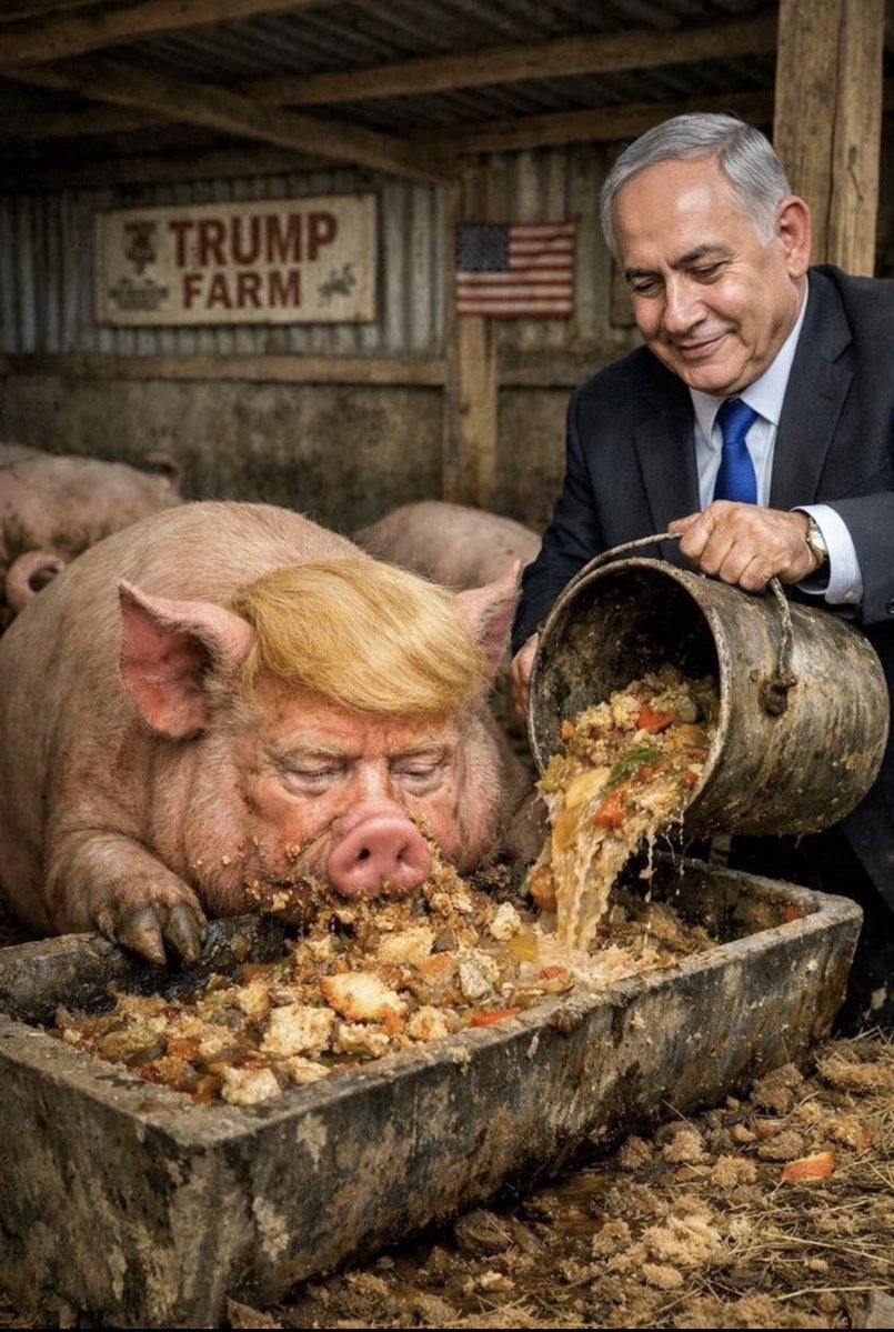 Petros Pierrakos tweet media