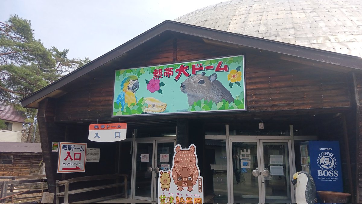 野生児課長 tweet media