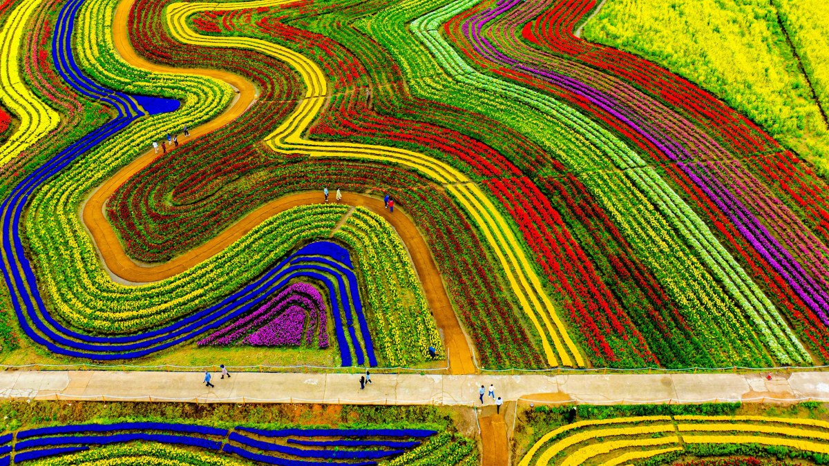 설레임 tweet media