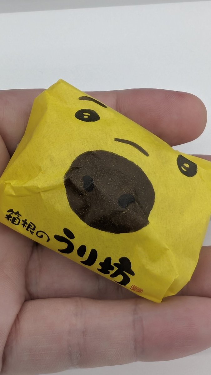 箱根のおみやげ第2弾！
うり坊かわいいな…笑