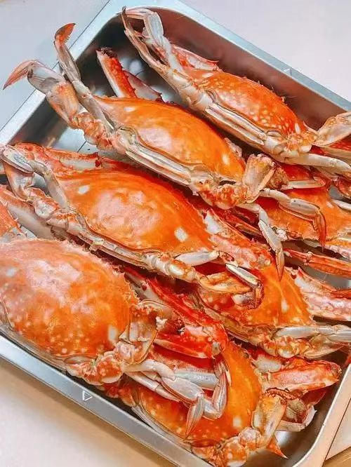 Tobias Martin tweet media