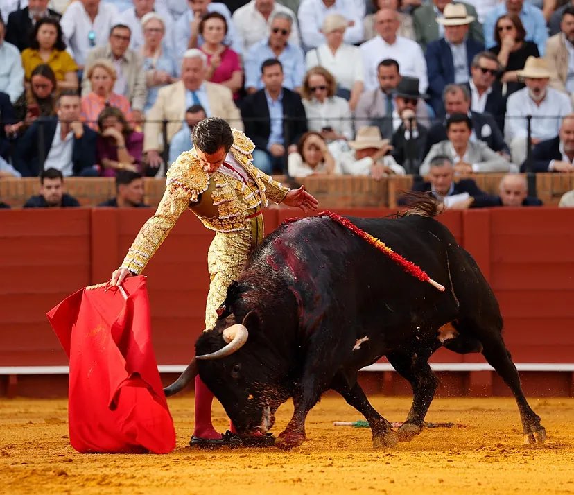 zabala de la serna tweet media