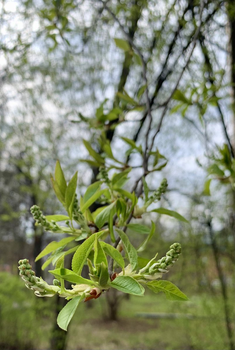 Инга tweet media