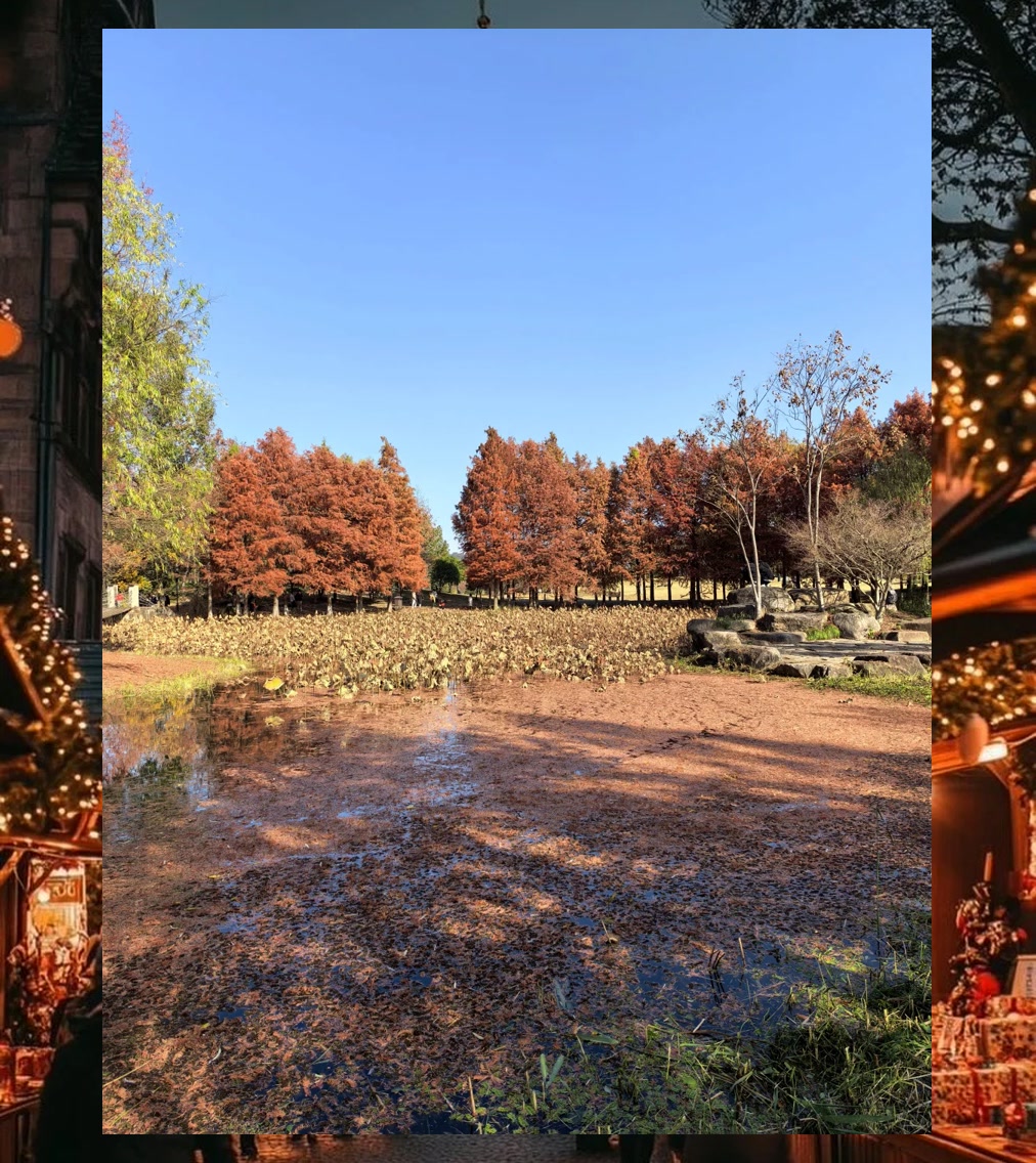 Daniel Stacks tweet media