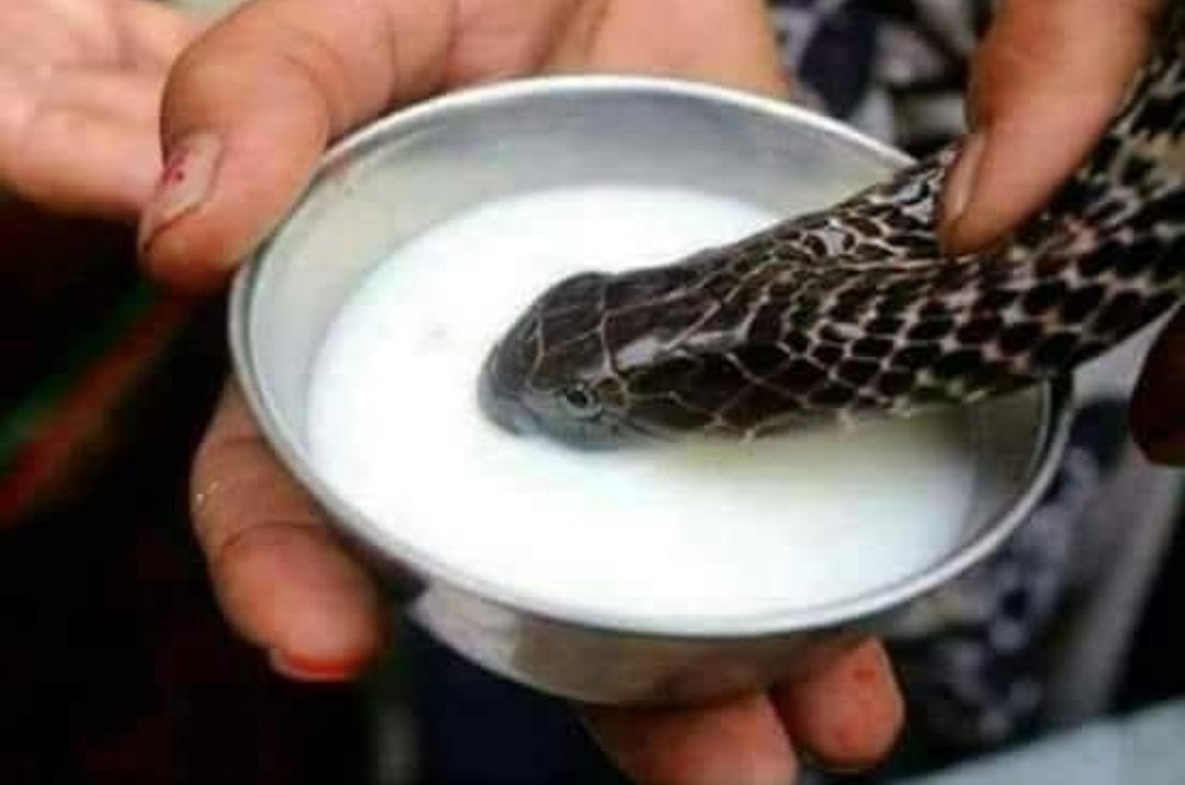 CZohaib27408's tweet image. Never Trust Shuḍra, because Shuḍrās are like snakes 🐍 

Duty of Every Royal #Méhar [Hukkum ☀️] should trust any low caste Shuḍra, because Shuḍrās are loyal to a #Mehar [Hukkum ☀️]

Méhr Zohaib Singh Momi[Hukum ☀️]

Member of Royal House #MOMI (Rājaānya) of Nakodar Doaba.