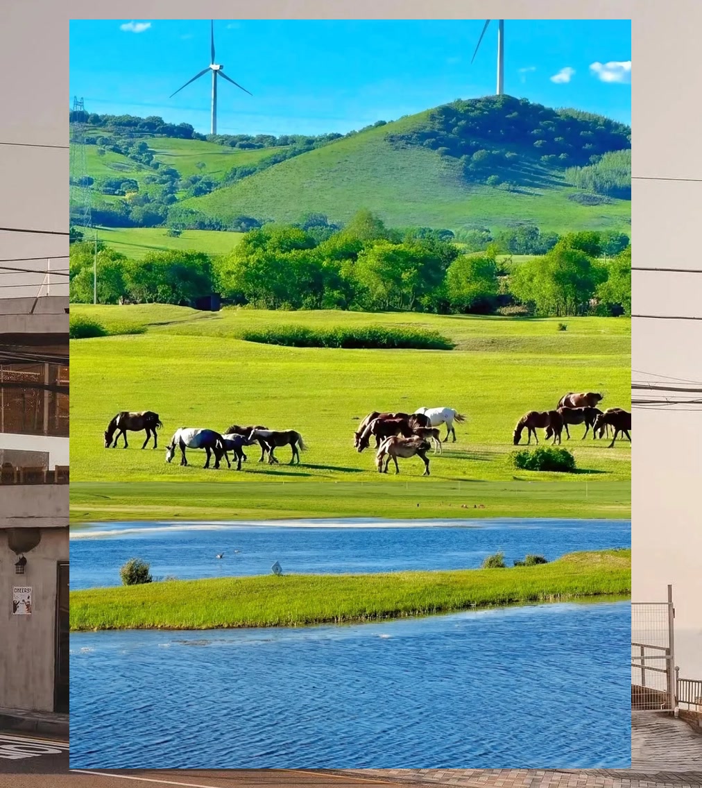 Mark Bader tweet media