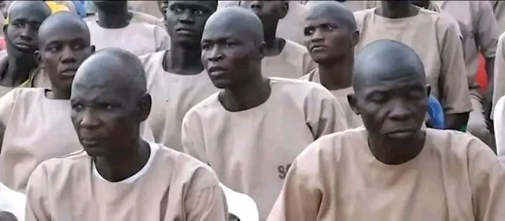 UgoJustrealugo's tweet photo. The recent report that 744 former terrorists and victims of violent extremism have been rehabilitated and reintegrated into society under Nigeria’s Operation Safe Corridor raises very serious questions that we, as Biafrans, cannot ignore.

Let us think deeply.

A system that releases hundreds of individuals once involved in terrorism back into society—no matter the explanation—creates a fragile and dangerous environment. While authorities describe it as a strategy for peace, the implications for communities, especially vulnerable and already targeted regions, are enormous.

We must ask:

Where will these individuals be resettled?

Who guarantees the safety of innocent citizens?

What structures are in place to ensure that this cycle does not repeat itself?

For years, our people in the East have lived under growing fear—kidnappings, killings, military intimidation, and unchecked violence. Yet, instead of decisive protection, what we see is a system experimenting with reintegration while insecurity continues to spread.

This is not just about policy—it is about survival.

The truth is simple:
A people cannot continue to live in a system where their safety is uncertain, their voices ignored, and their future constantly negotiated without their consent.

Biafrans must begin to understand that security is not given—it is guaranteed by self-determination.

No nation thrives where its people feel like strangers in their own land. No society progresses where the protection of lives is secondary to political calculations.

If a structure repeatedly fails to protect you, wisdom demands that you reconsider your place within that structure.

The call for exit is not born out of hatred—it is born out of necessity. It is a call for:

Safety of our children

Protection of our communities

Preservation of our identity

Control over our future

We cannot continue to rely on promises that have failed time and time again. Hope without action becomes a tool of continued oppression.

Biafrans must rise in unity, clarity, and purpose to demand a future where our security is not uncertain, where our lives are not negotiable, and where peace is not theoretical—but real and guaranteed.

My people, history will judge this generation not by what we endured, but by what we chose to do when the truth became clear.

The time has come to stop waiting, stop hoping, and start deciding.

We were not created to live in fear.
We were not destined to beg for safety.
We were born to be free, to be secure, and to determine our own destiny.

Let wisdom guide us. Let unity strengthen us. And let courage lead us to the future we deserve.

Biafra must live—not just as a dream, but as a reality.

Mazi Ifeanyi,
Head of Biafra Homeland Media