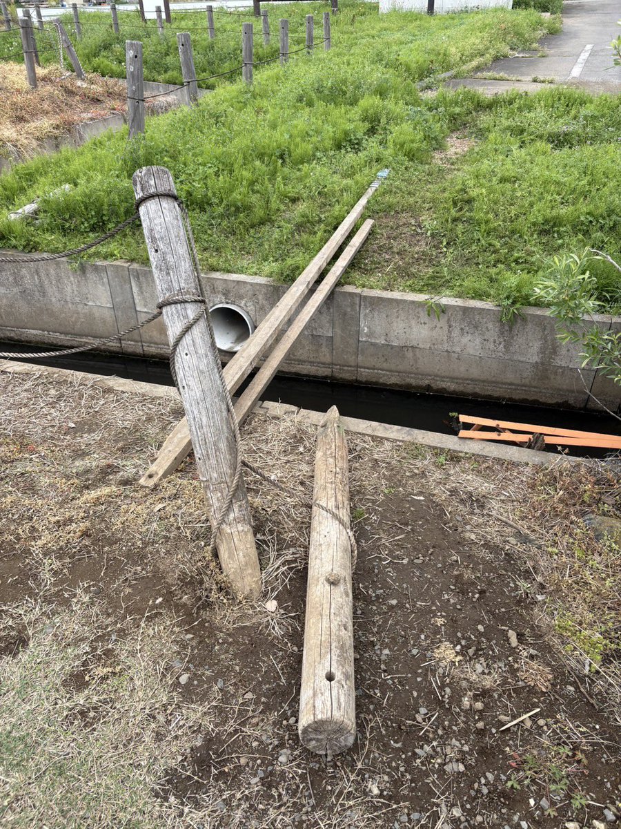 BANド太郎 tweet media