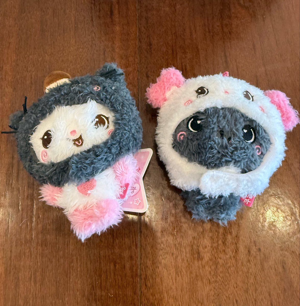 쿵순이 tweet media