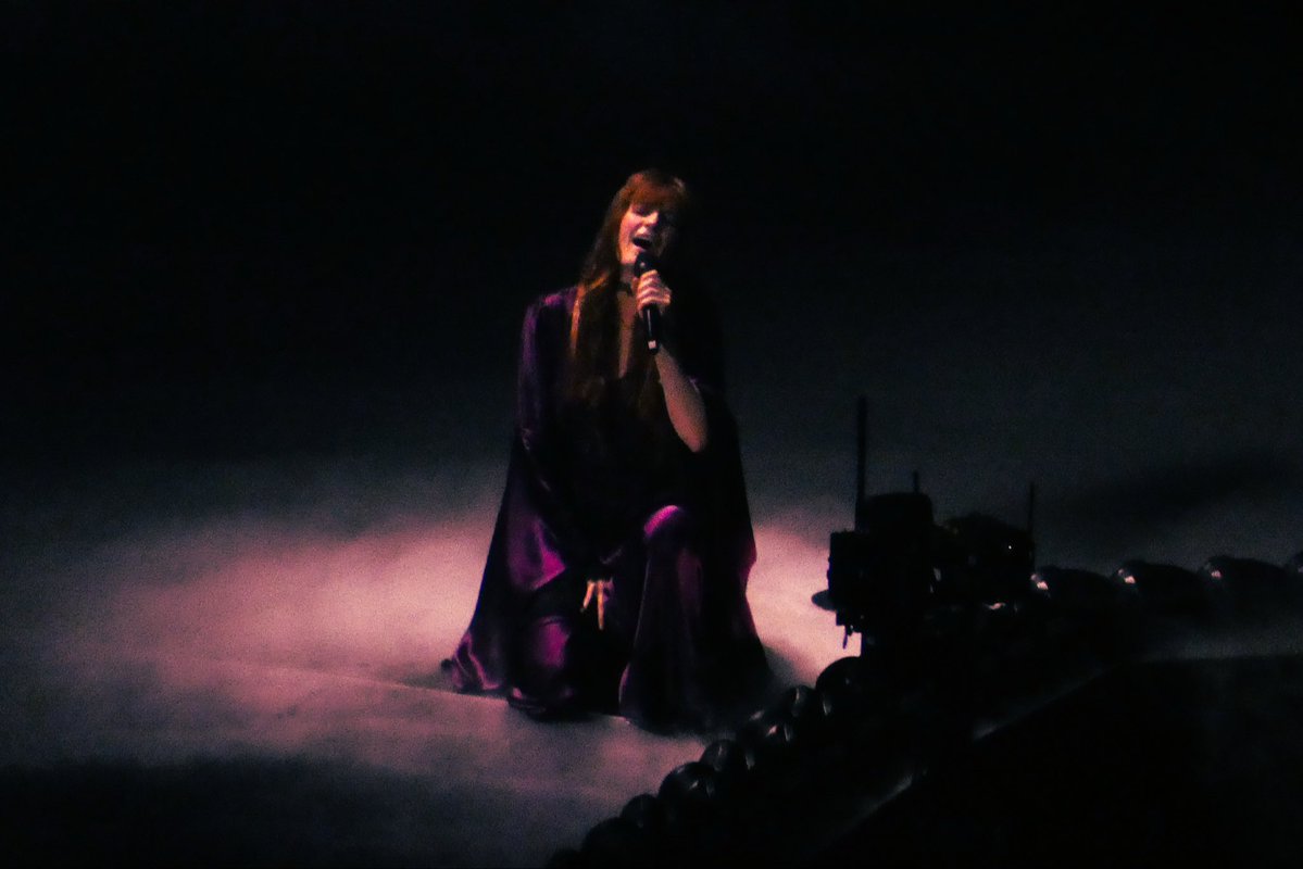 megan 𐚁 tweet media