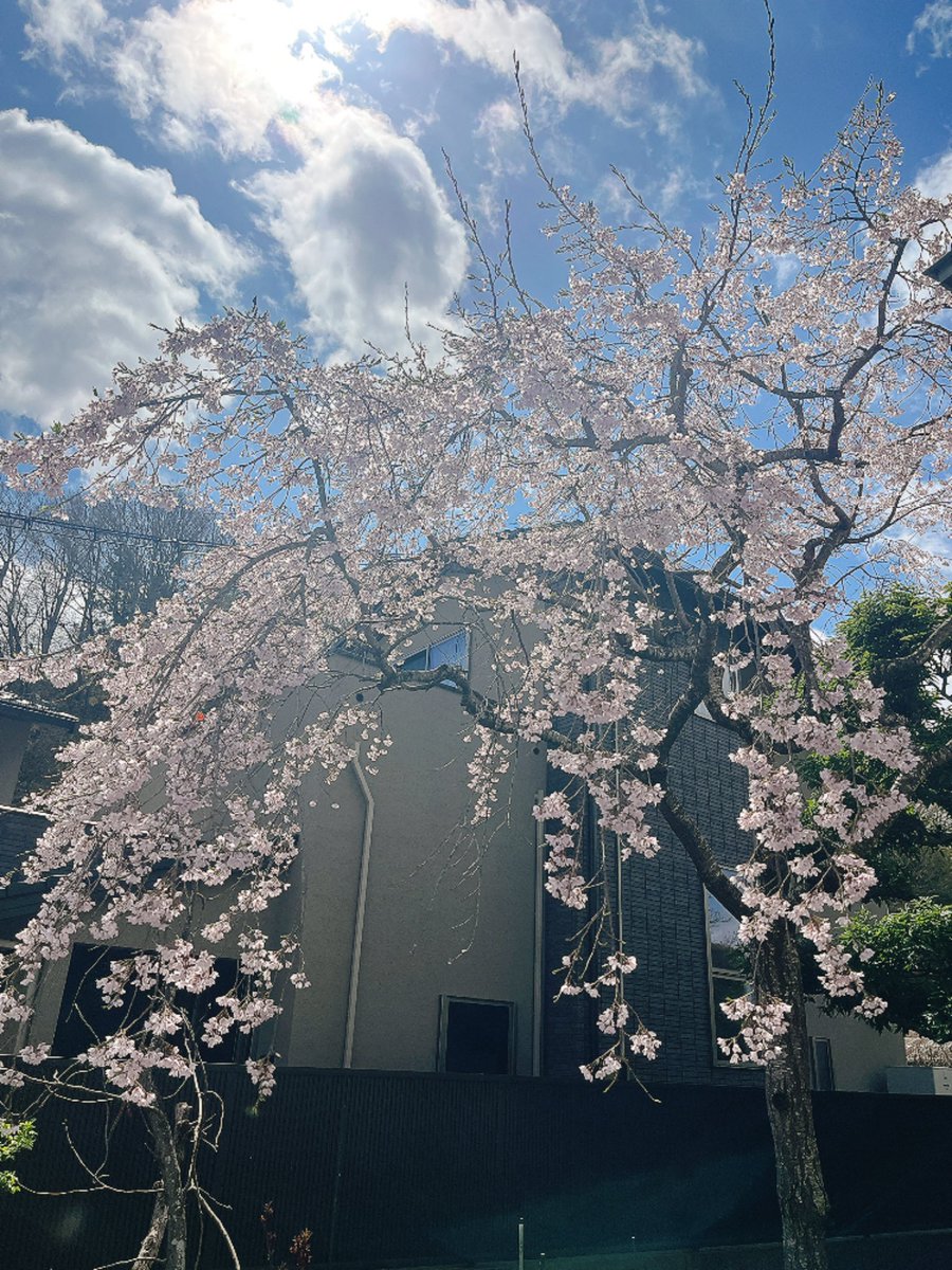 浜崎美保 Hamasaki Miho tweet media