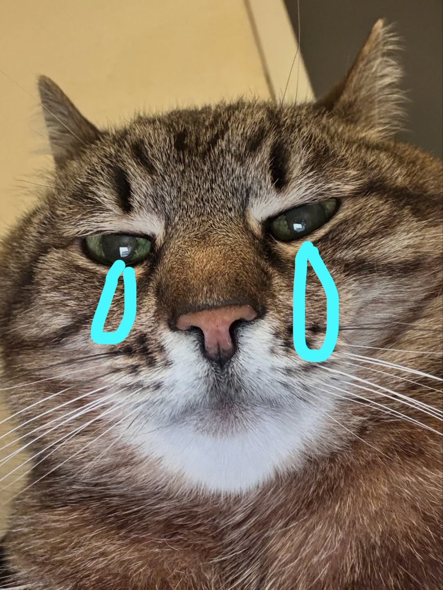 나물콩 tweet media