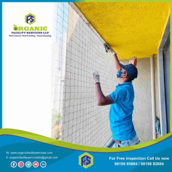 LlpOrganic's tweet photo. Annual Pest Control Service Cost in Mumbai – Planning Smarter for Lo ..For more info visit...http://https://t.co/viDTcAGMp3 https://t.co/Sxsueqy6hp
