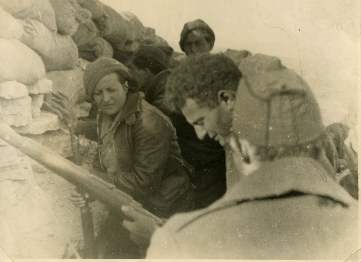 Museo Virtual de la Mujer Combatiente tweet media