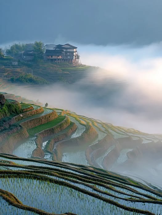 Frost（互FO） tweet media