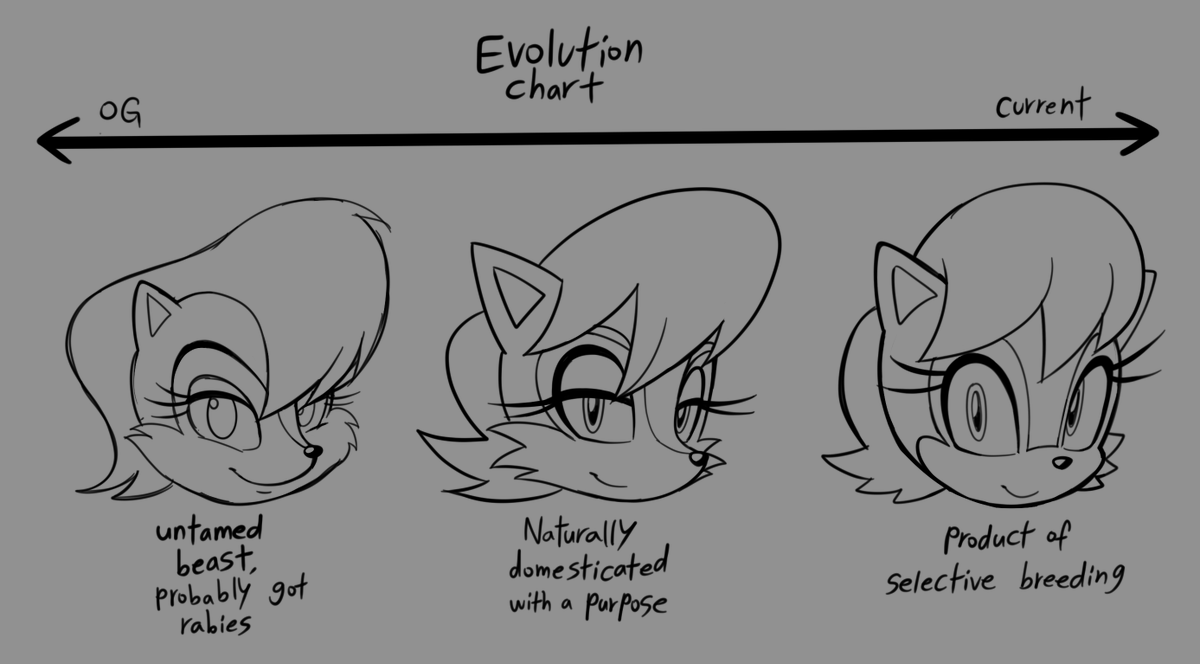 spectrum of sally acorn