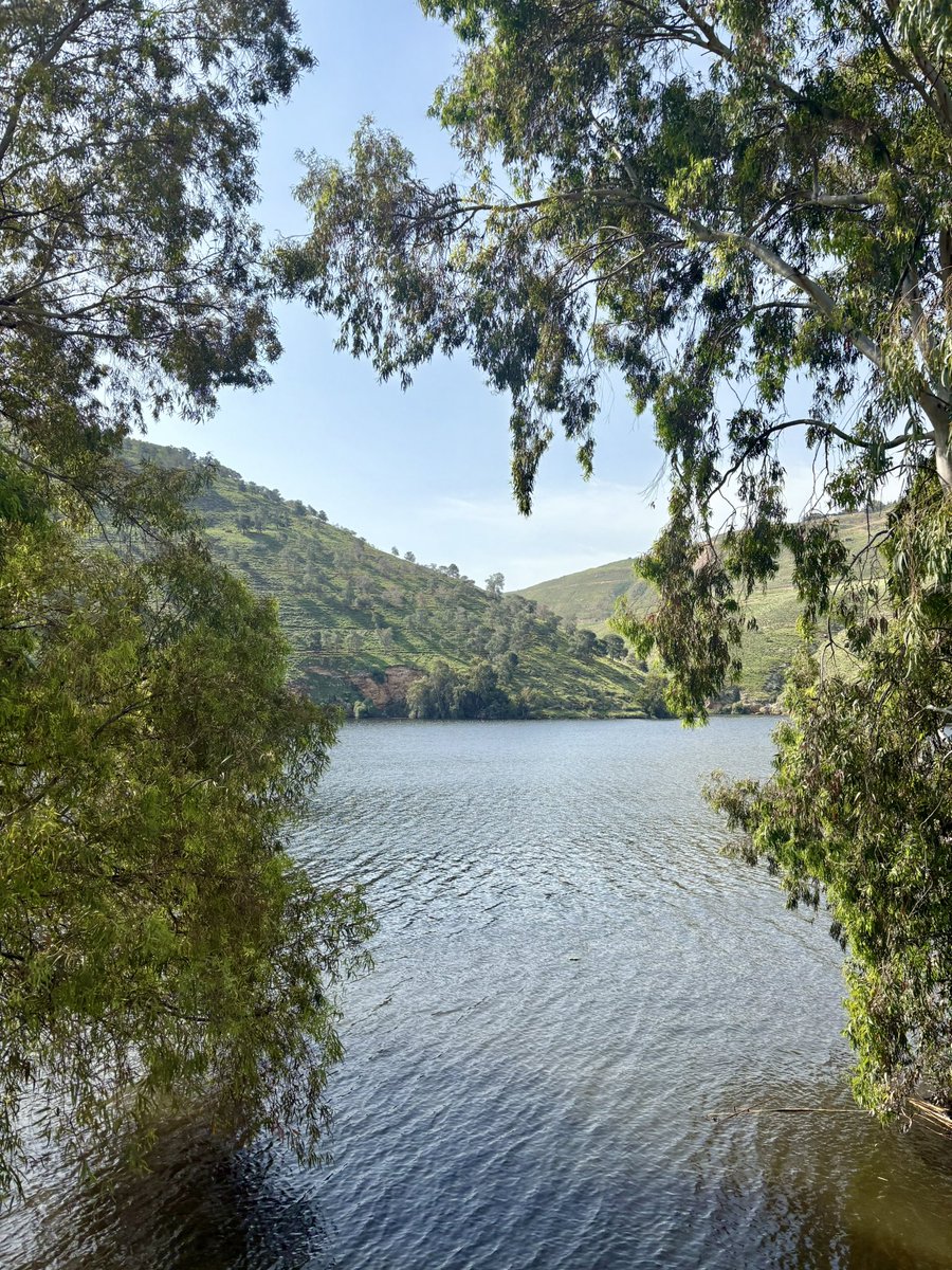 Jwana🏹 tweet media