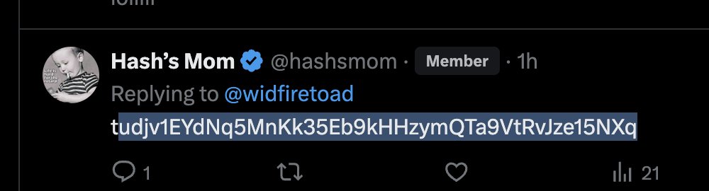 widfiretoad tweet media