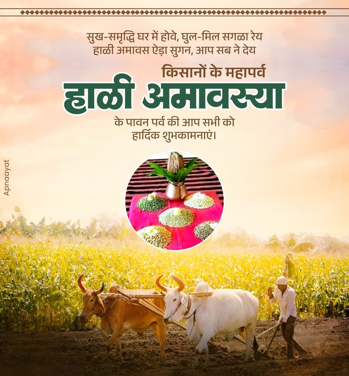 मीठी मनुहारा करता थकां,सुगन सगळा जोय
छाय जमानो जोरको, अमृत वर्षा होय |

सुख-समृद्वि घर में होवे, घुळ-मिळ सगळा रेय
हाळी अमावस ऐड़ा सुगन, आप सब ने देय ||

हाळी अमावस री सगळा नै घणी घणी सुभकामनावां।
#हाळी_अमावस्या