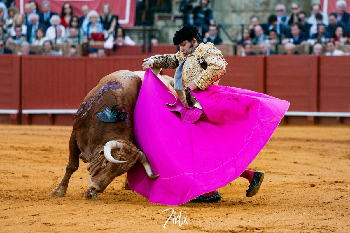 manuel.pg4 tweet media