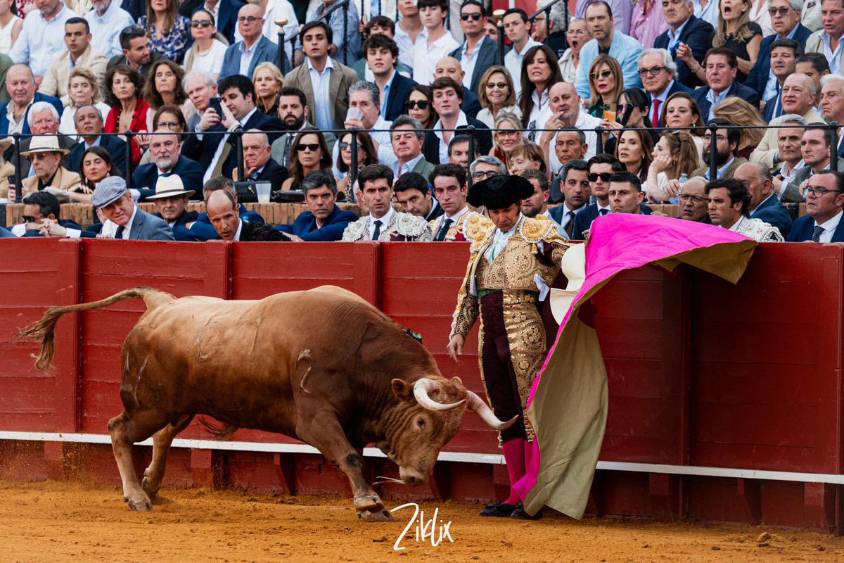 manuel.pg4 tweet media