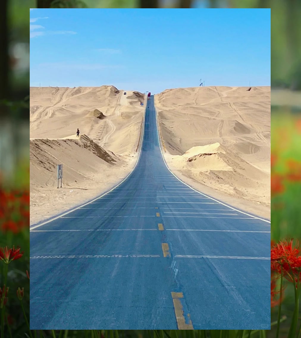 Steven Roberts tweet media