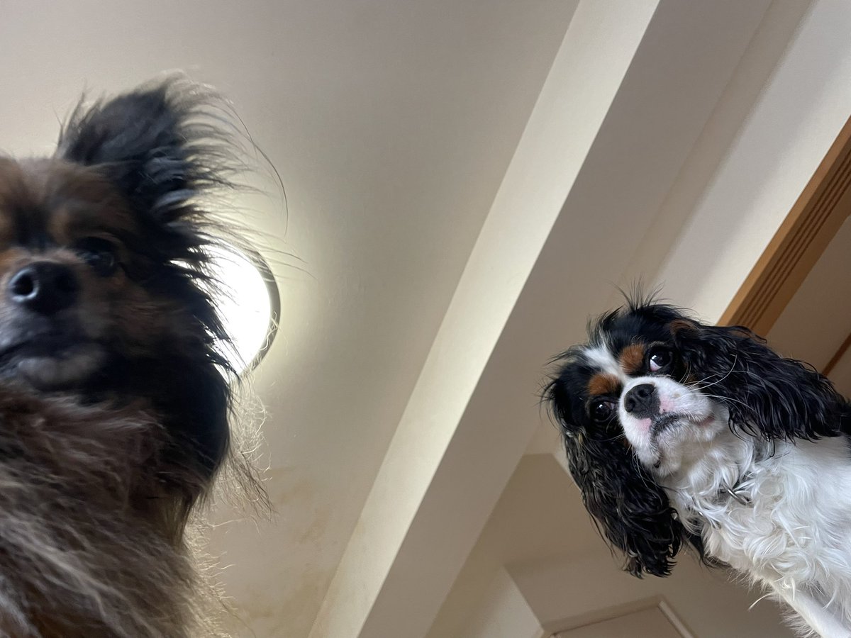 まさぴろ tweet media