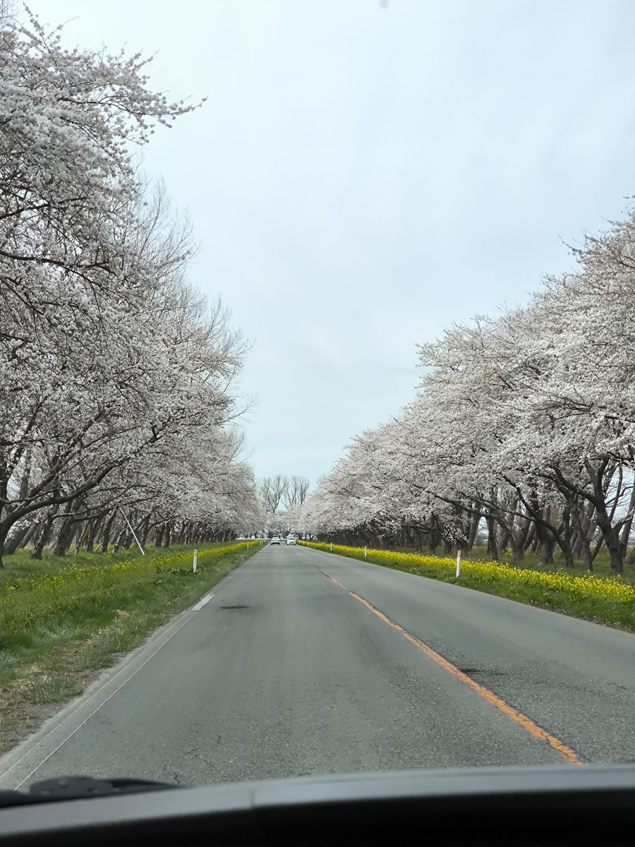 えっぴん tweet media