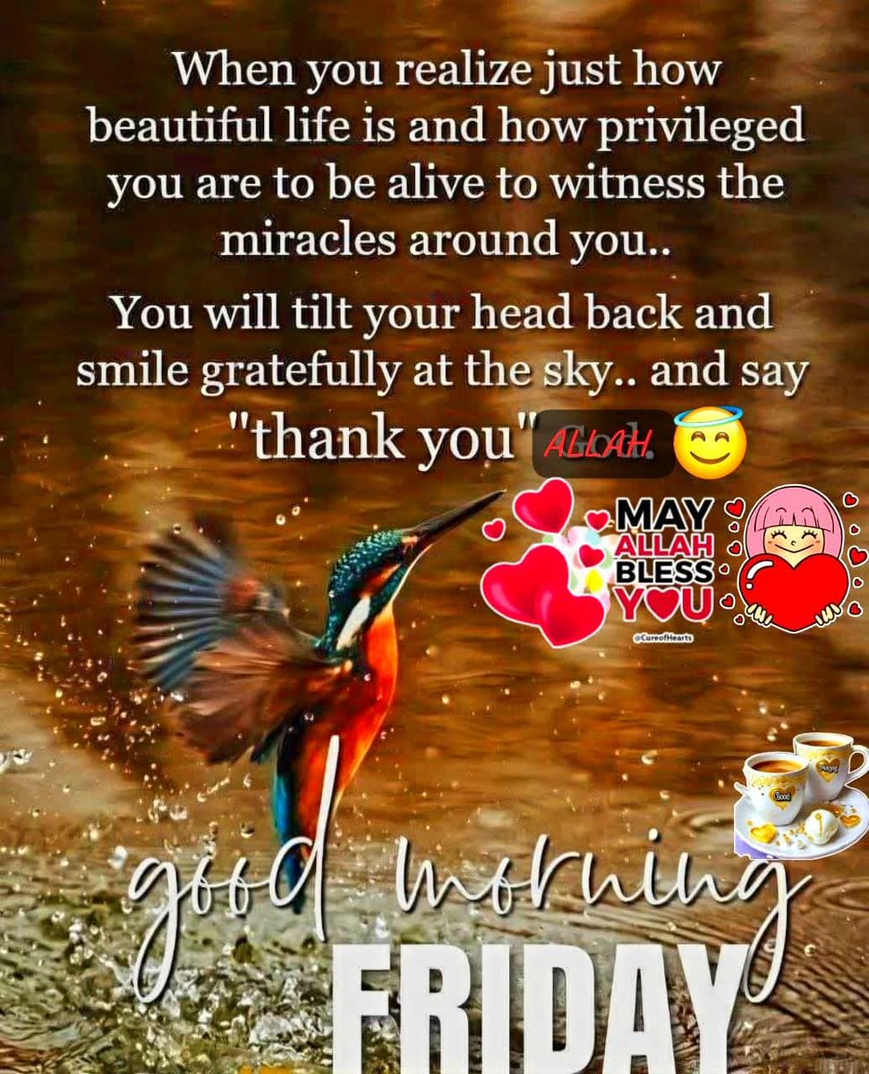 Being grateful for little comforting things in life not only helps you feel more energized and motivated in the morning but also instils in you a sense of calmness that carries throughout the day💯💖😇Have a 🙌 Friday 🍀🌻🌾🥀⚘️