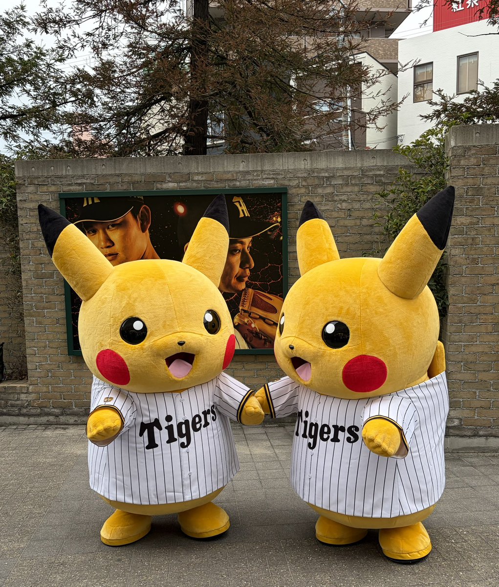 つじり🍵🐯 tweet media