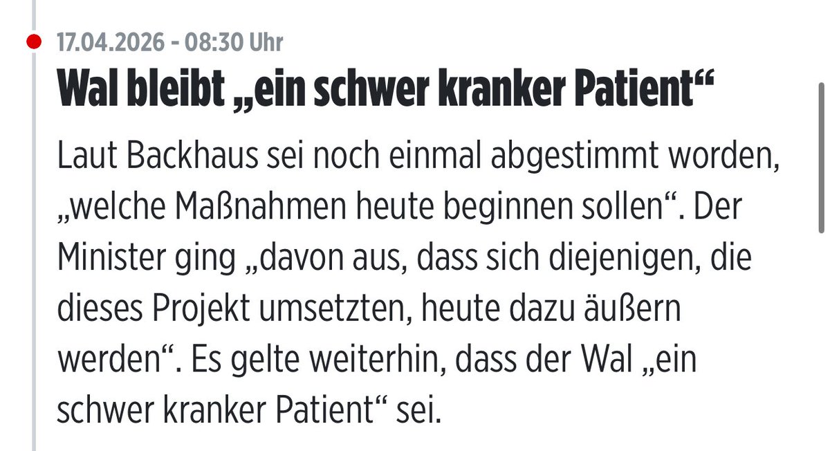 𝑀𝒾𝓈𝓈 𝐸𝓋𝑒 tweet media