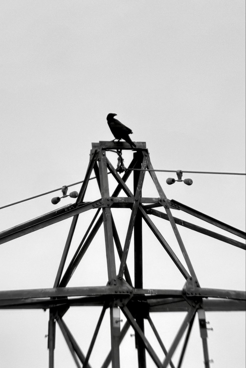 Samuel West 💙💛 tweet media