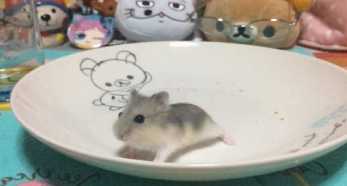 りなりな tweet media