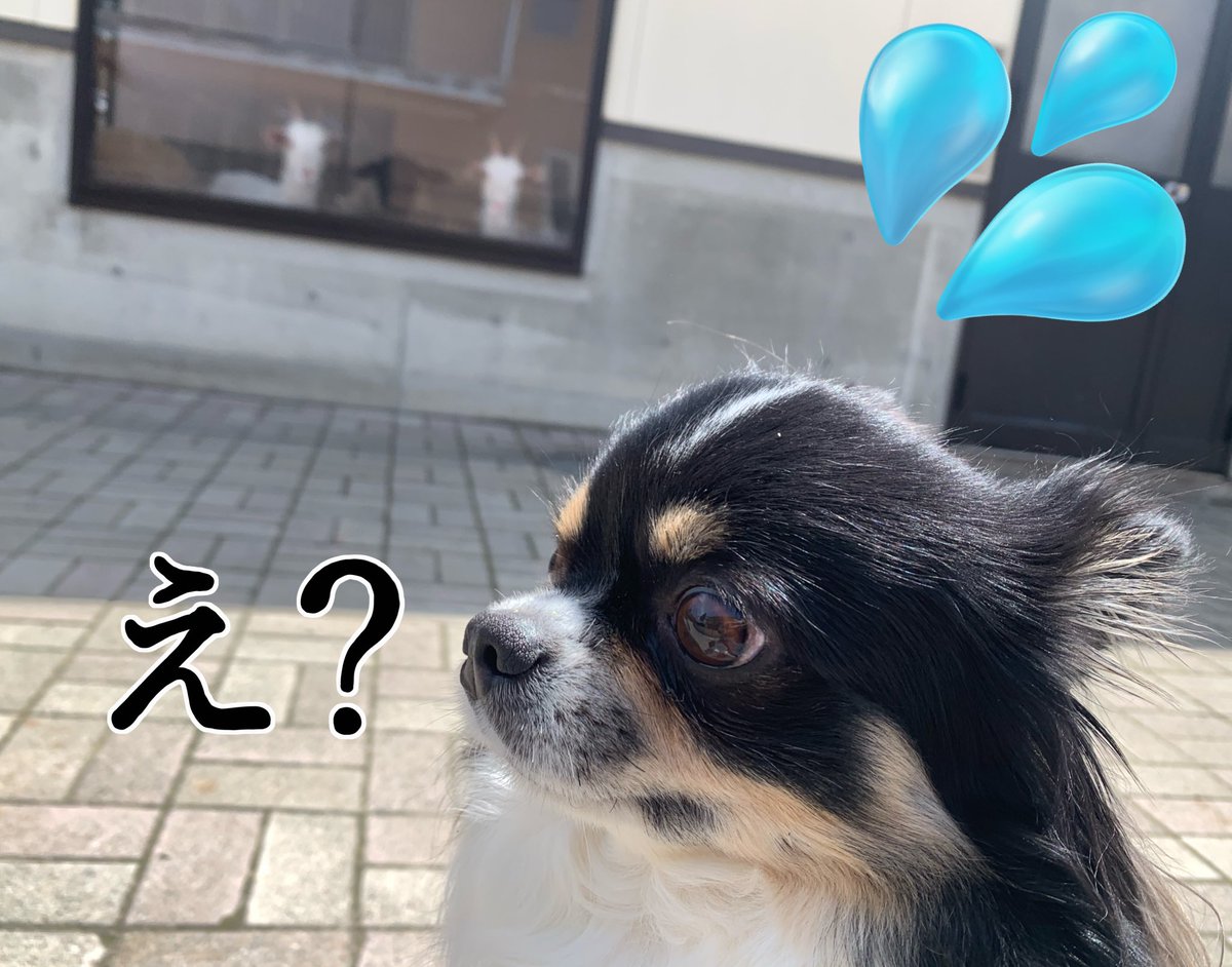 ででっぽ🍑🔥原稿やりましょうよ！ tweet media