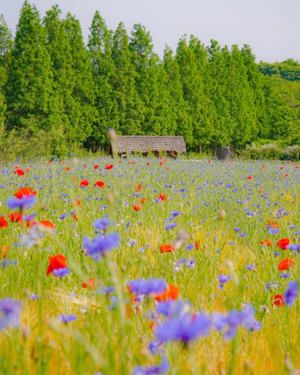 한국관광공사 :: 까우니의 대한민국 구석구석 tweet media